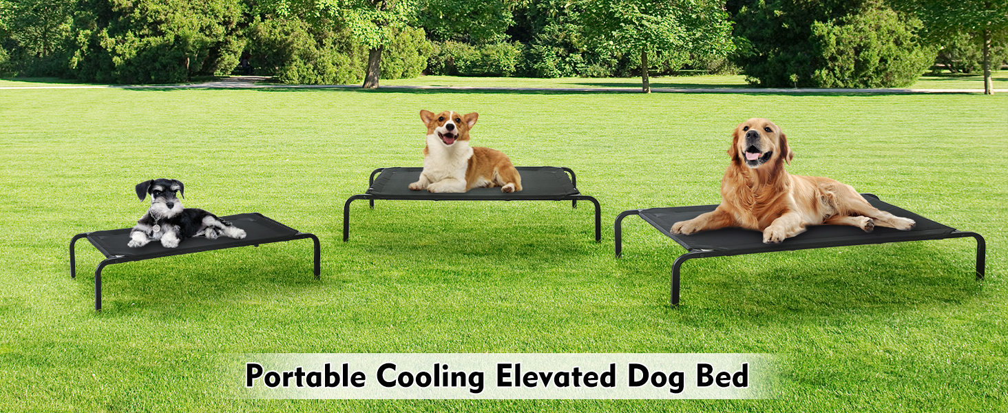 8e067f9b-142f-4fd3-af84-5ad0142f3a84.__CR0,0,1464,600_PT0_SX1464_V1___