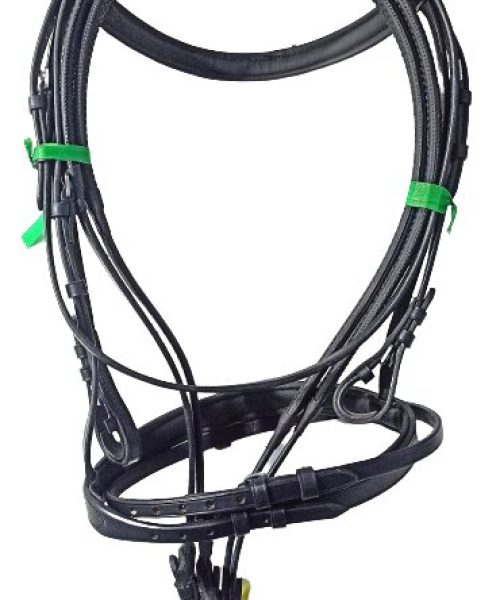 ei_1676387795574-removebg-preview - Copy